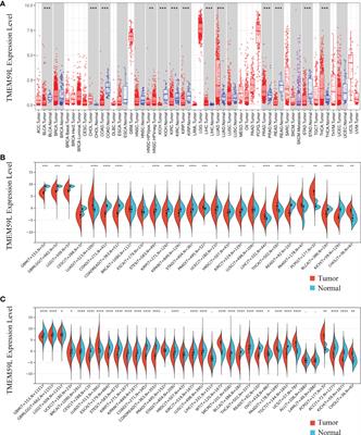 Prognostic value of TMEM59L and its genomic and immunological characteristics in cancer